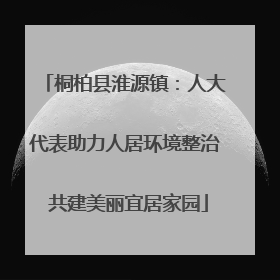 桐柏县淮源镇：人大代表助力人居环境整治 共建美丽宜居家园