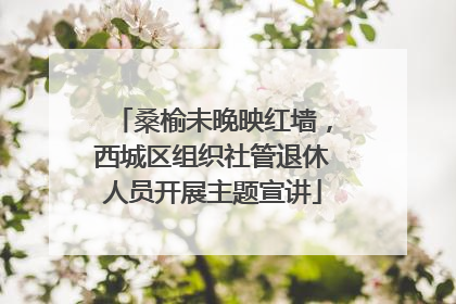 桑榆未晚映红墙，西城区组织社管退休人员开展主题宣讲