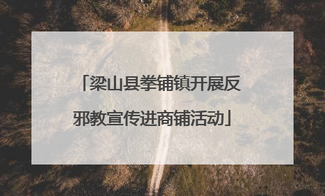 梁山县拳铺镇开展反邪教宣传进商铺活动