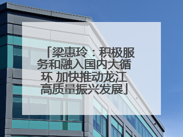 梁惠玲：积极服务和融入国内大循环 加快推动龙江高质量振兴发展