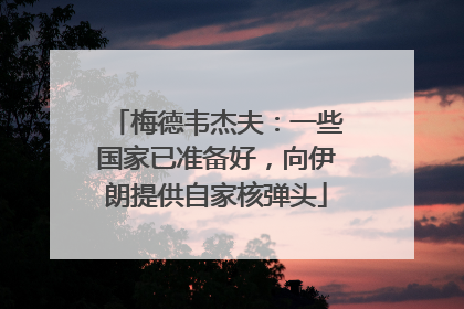 梅德韦杰夫：一些国家已准备好，向伊朗提供自家核弹头