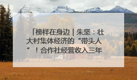 榜样在身边｜朱坚：壮大村集体经济的“带头人”！合作社经营收入三年内突破1200万元