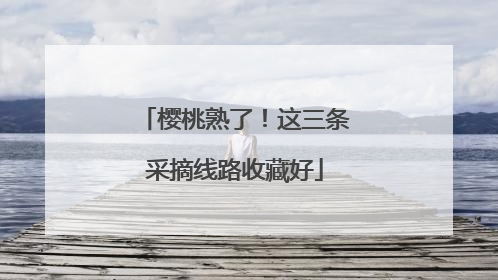 樱桃熟了！这三条采摘线路收藏好