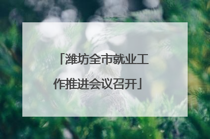 潍坊全市就业工作推进会议召开