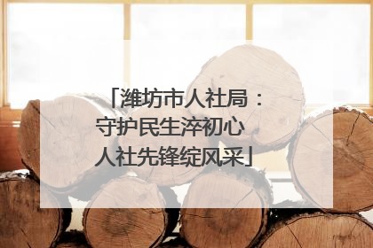 潍坊市人社局：守护民生淬初心 人社先锋绽风采