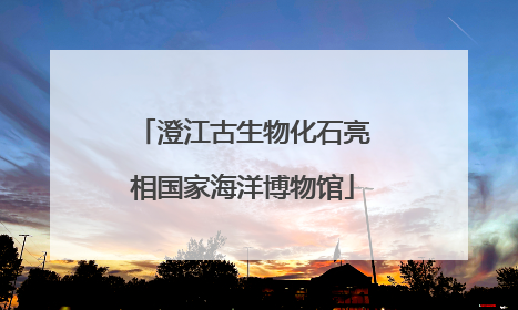 澄江古生物化石亮相国家海洋博物馆