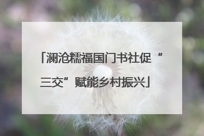 澜沧糯福国门书社促“三交”赋能乡村振兴