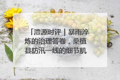 澧源时评｜暴雨淬炼的治理答卷，桑植县防汛一线的细节肌理与体系力量