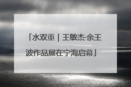 水双重｜王敏杰·余王波作品展在宁海启幕