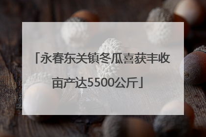 永春东关镇冬瓜喜获丰收 亩产达5500公斤