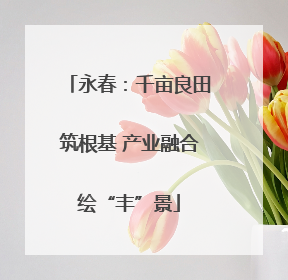 永春：千亩良田筑根基 产业融合绘“丰”景