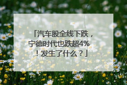 汽车股全线下跌，宁德时代也跌超4%！发生了什么？