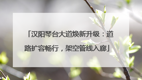 汉阳琴台大道焕新升级：道路扩容畅行，架空管线入廊