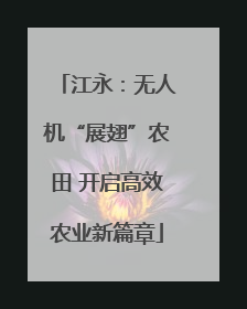 江永：无人机“展翅”农田 开启高效农业新篇章