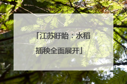 江苏盱眙：水稻插秧全面展开