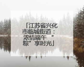 江苏省兴化市临城街道：浓情端午 “粽”享时光