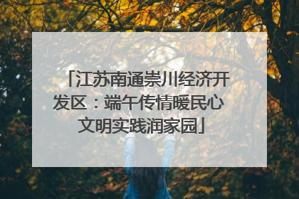 江苏南通崇川经济开发区：端午传情暖民心 文明实践润家园