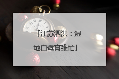 江苏泗洪：湿地白鹭育雏忙
