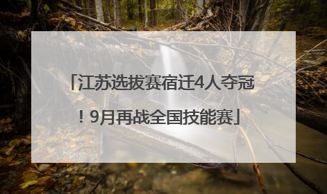 江苏选拔赛宿迁4人夺冠！9月再战全国技能赛