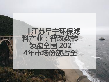 江苏阜宁环保滤料产业：智改数转领跑全国 2024年市场份额占全国三分之一