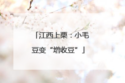 江西上栗：小毛豆变“增收豆”