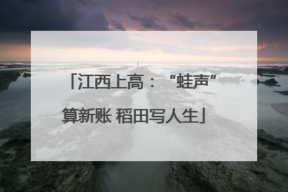 江西上高：“蛙声”算新账 稻田写人生