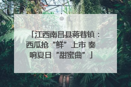江西南昌县蒋巷镇：西瓜抢“鲜”上市 奏响夏日“甜蜜曲”