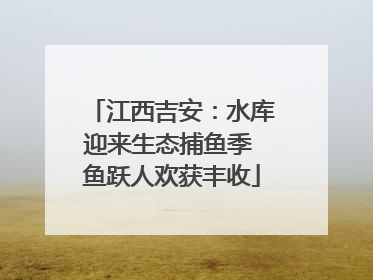 江西吉安：水库迎来生态捕鱼季 鱼跃人欢获丰收