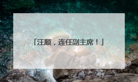 汪顺，连任副主席！