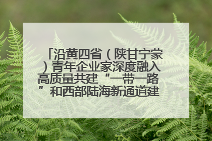 沿黄四省（陕甘宁蒙）青年企业家深度融入高质量共建“一带一路”和西部陆海新通道建设战略合作交流会在甘肃兰州召开