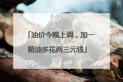 油价今晚上调，加一箱油多花两三元钱
