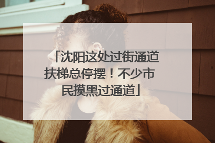 沈阳这处过街通道扶梯总停摆！不少市民摸黑过通道