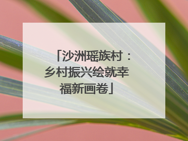 沙洲瑶族村：乡村振兴绘就幸福新画卷