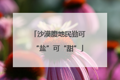 沙漠腹地民勤可“盐”可“甜”