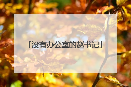 没有办公室的赵书记