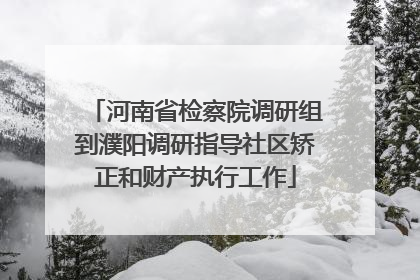河南省检察院调研组到濮阳调研指导社区矫正和财产执行工作