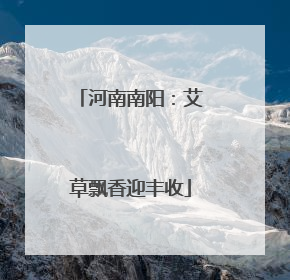 河南南阳：艾草飘香迎丰收