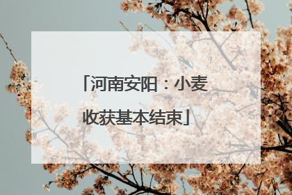 河南安阳：小麦收获基本结束