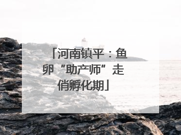 河南镇平：鱼卵“助产师”走俏孵化期