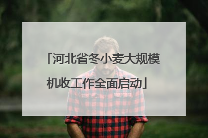 河北省冬小麦大规模机收工作全面启动