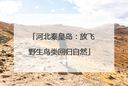 河北秦皇岛：放飞野生鸟类回归自然
