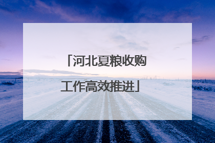 河北夏粮收购工作高效推进