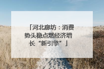 河北廊坊：消费势头稳点燃经济增长“新引擎”