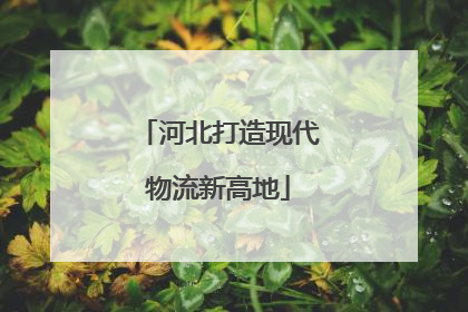 河北打造现代物流新高地