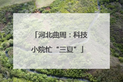 河北曲周：科技小院忙“三夏”