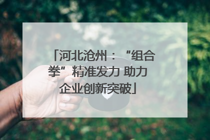 河北沧州：“组合拳”精准发力 助力企业创新突破