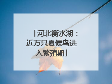 河北衡水湖：近万只夏候鸟进入繁殖期