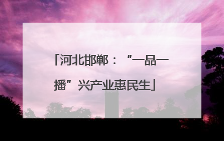 河北邯郸：“一品一播”兴产业惠民生