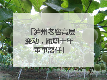 泸州老窖高层变动，履职十年董事离任