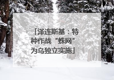 泽连斯基：特种作战“蛛网”为乌独立实施